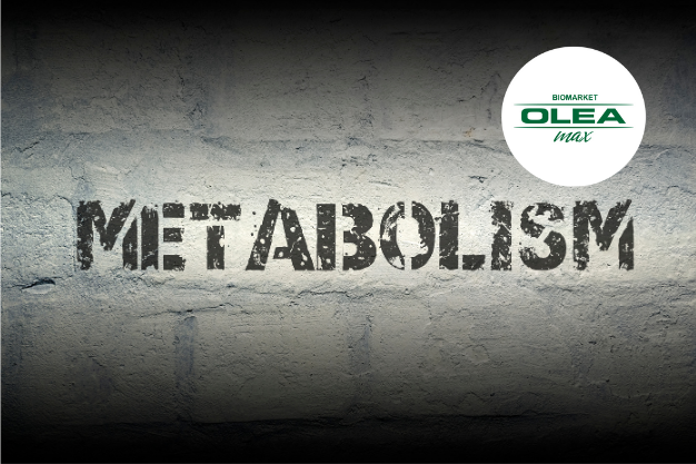 metabolizam, olea