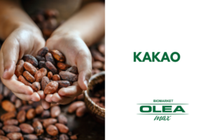 KAKAO, olea
