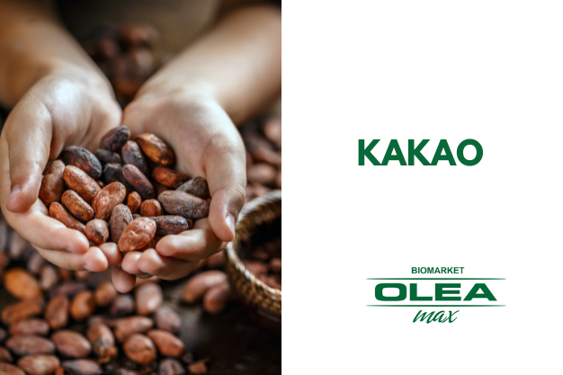 KAKAO, olea