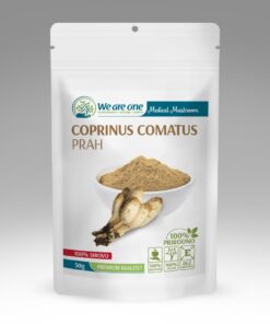 Coprinus comatus prah 50g We are one